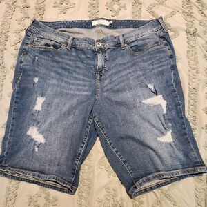 Torrid Distressed Shorts sz 22